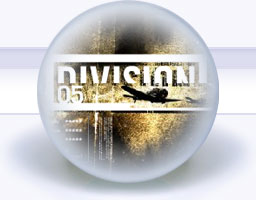 Division 05