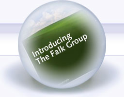 The Falk Group