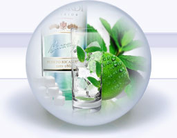 Bacardi Mojito Cocktails